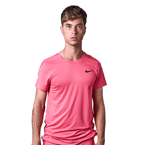 Dino Prizmic